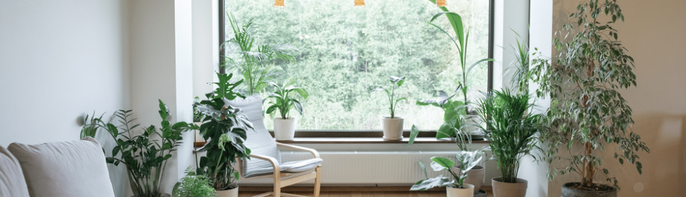 What is the purpose of biophilic design?
