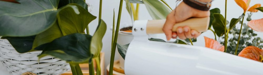 What is the opposite of having a green thumb?