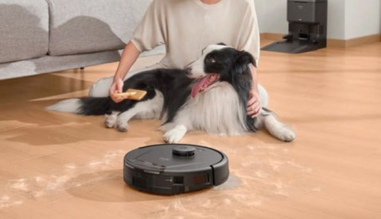 Guide on removing dog urine odor from wooden floors for a fresh, clean home